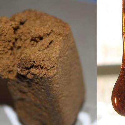 Hash and Cannabis Oil