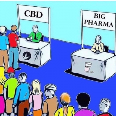 Yes people, we’re shifting…
Get your shift together!!!
#alternative #newearth #cannabisculture #marijuanalegal #legalize #weedislife #loveweed #weedlove #weedpics #weedstagram #weedstagram420 #high #hightimes #highsociety #marijuanalove #staylifted #naturalmedicine #420 #420life #newmedicine | Cannabis Barcelona