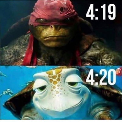 So funny and so true…
#turtles #ninja #comics #funny #cannabisculture #marijuanalegal #legalize #weedislife #loveweed #weedlove #weedpics #weedstagram #weedstagram420 #high #hightimes #highsociety #marijuanalove #staylifted #naturalmedicine #420 #420life | Cannabis Barcelona
