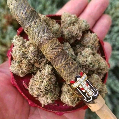 It’s time for a break…
#blunt #killer #monster #huge #gigantic #thisishowwedoit #weed #weedgang #smoking #smokeweed #weedsmokers
#highallday #thc #cbd #indica #sativa #stoned #weedthatweneed #bcn #bcnhighlife #legalize #marijuana #medicine #medical #cannabis | Cannabis Barcelona