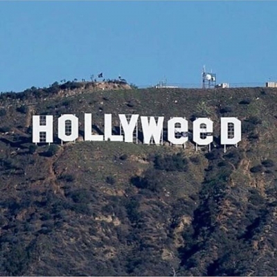 Hollywood… or #holly #weed
#weedstagram #weedstagram420 #high #hightimes #highsociety #marijuanalove #staylifted #naturalmedicine #420 #420life #smoking #smokeweed #weedsmokers #highallday #thc #cbd #indica #sativa #stoned #weedthatweneed #bcn #bcnhighlife #ganja #hollywood | Cannabis Barcelona