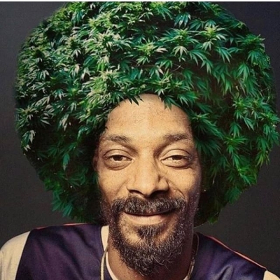 Paging Doctor GreenThumb ๐
#doctor #bush #green #greenthumb #weedstagram420 #high #hightimes #smokeweed #smokeweedeveryday #snoopdog #ganja #plant #420 #smoking #weed #weedsmokers
#highallday #thc #cbd #indica #sativa #stoned #weedthatweneed #bcn #bcnhighlife | Cannabis Barcelona