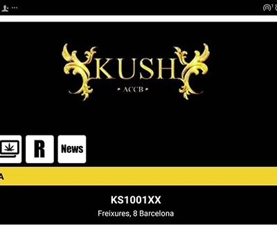 We don’t stop generating cards…
And it’s only the beginning ;)
#weed #weedcardapp #weedcard #digitalcard #card #app #aplication #barcelona #cannabisclub #coffeeshop #socialclub #weedclub #technology #newintown #bcn #bcnhighlife #hightimes #highsociety #highallday | Cannabis Barcelona