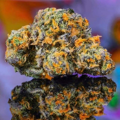 #smoking #smokeweed #weed #weedsmokers
#highallday #thc #cbd #indica #sativa #stoned #weedthatweneed #bcn #bcnhighlife #ganja #beautiful #budporn #instahot #instaweed #instapic #kingbud #royalbud #colors #marijuana #cannabis #cannabisassociation #coffeeshop #barcelona #spain | Cannabis Barcelona