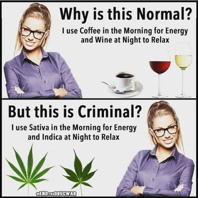 #endthewarondrugs #endprohibition #legalize #legalizeit #marijuanalegal #marijuana #legal #cannabisculture #cannabis #high #highallday #highsociety #smokergirl #smokeweed #weed #weedsmokers #weedislife #smokeweedeveryday #getstoned #gethigh #stonergirl #alcohol #coffee #indica #sativa #wine | Cannabis Barcelona
