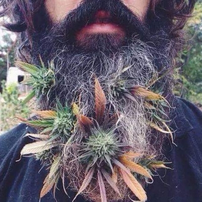 Oh my god, it’s the hair bear bunch!!!
#hear #beard #machobeard #hippie #hippiestyle #buds #nonconformist #freedom #free #freemind #cool #playitcool #legalize #weed #smokeweed #weedsmokers #weedislife #loveweed #cannabis is #medicine and #medical #marijuana is #real #followers #guru #shaman | Cannabis Barcelona