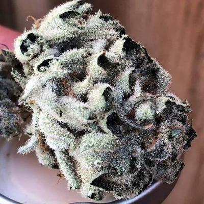 Is it snowing inside?!
#rasin #tricomas #thc #budtender #kingbud #budporn #budtastic #perfectbud #perfectnug #white #trichomes #weed #weedpic #instaweed #weedthatweneed #weedlovers #hybrid #growyourown #bcn #bcnhighlife #ganja #cannabis #getstoned #high #gethigh #smokeweed #barcelona | Cannabis Barcelona