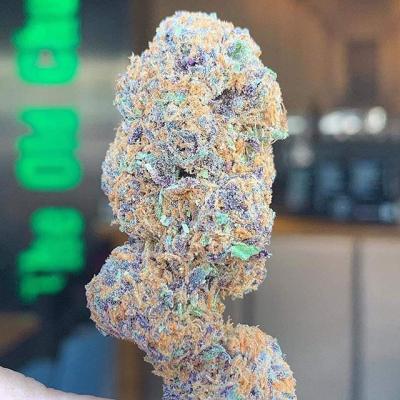 #nofilter #instagood #instaweed #insane #purple #indigo #specialstrain #weed cannabisculture #marijuanalegal #legalize #weedislife #loveweed #weedlove #weedpics #weedstagram #weedstagram420 #high #hightimes #highsociety #marijuanalove #staylifted #naturalmedicine #420 #420life | Cannabis Barcelona
